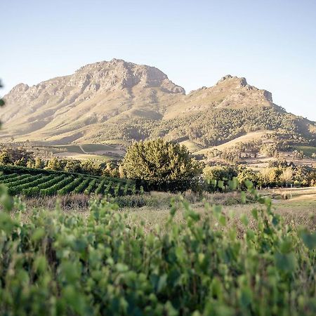 הוילה סטלנבוש Le Pommier Wine Estate מראה חיצוני תמונה