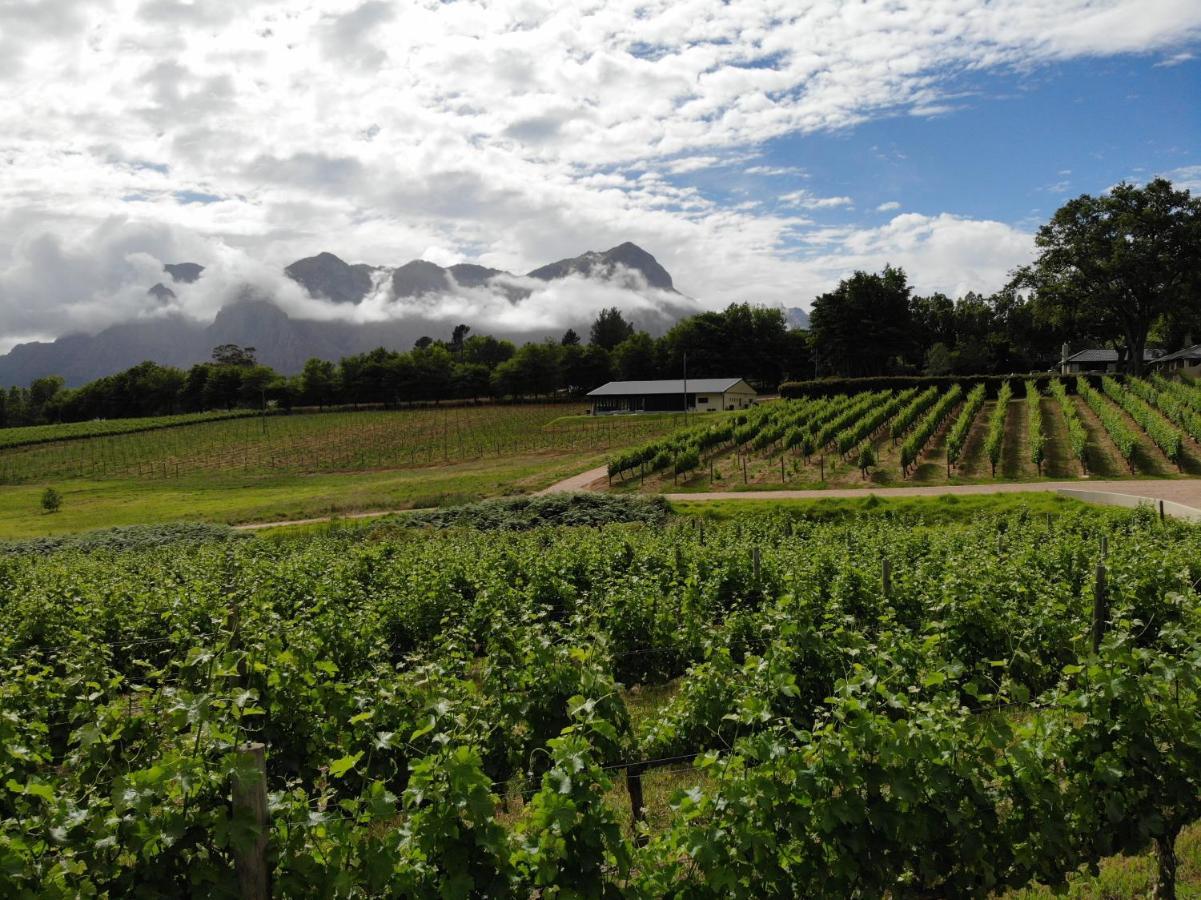 הוילה סטלנבוש Le Pommier Wine Estate מראה חיצוני תמונה