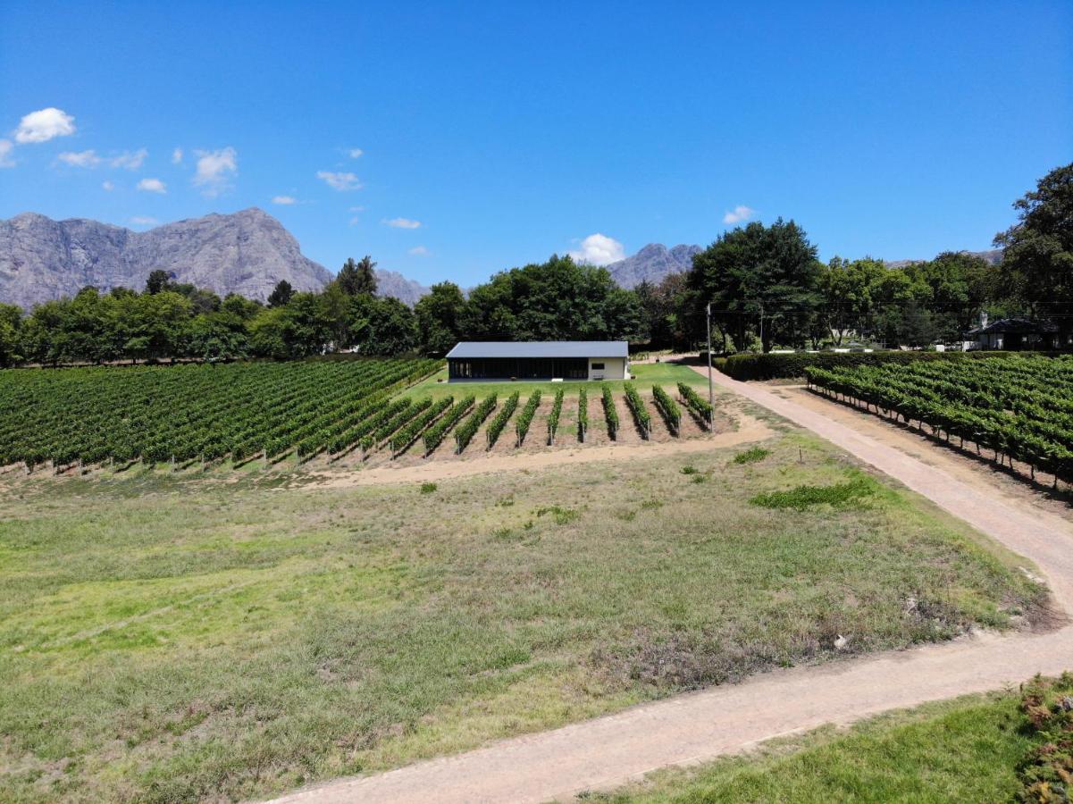 הוילה סטלנבוש Le Pommier Wine Estate מראה חיצוני תמונה
