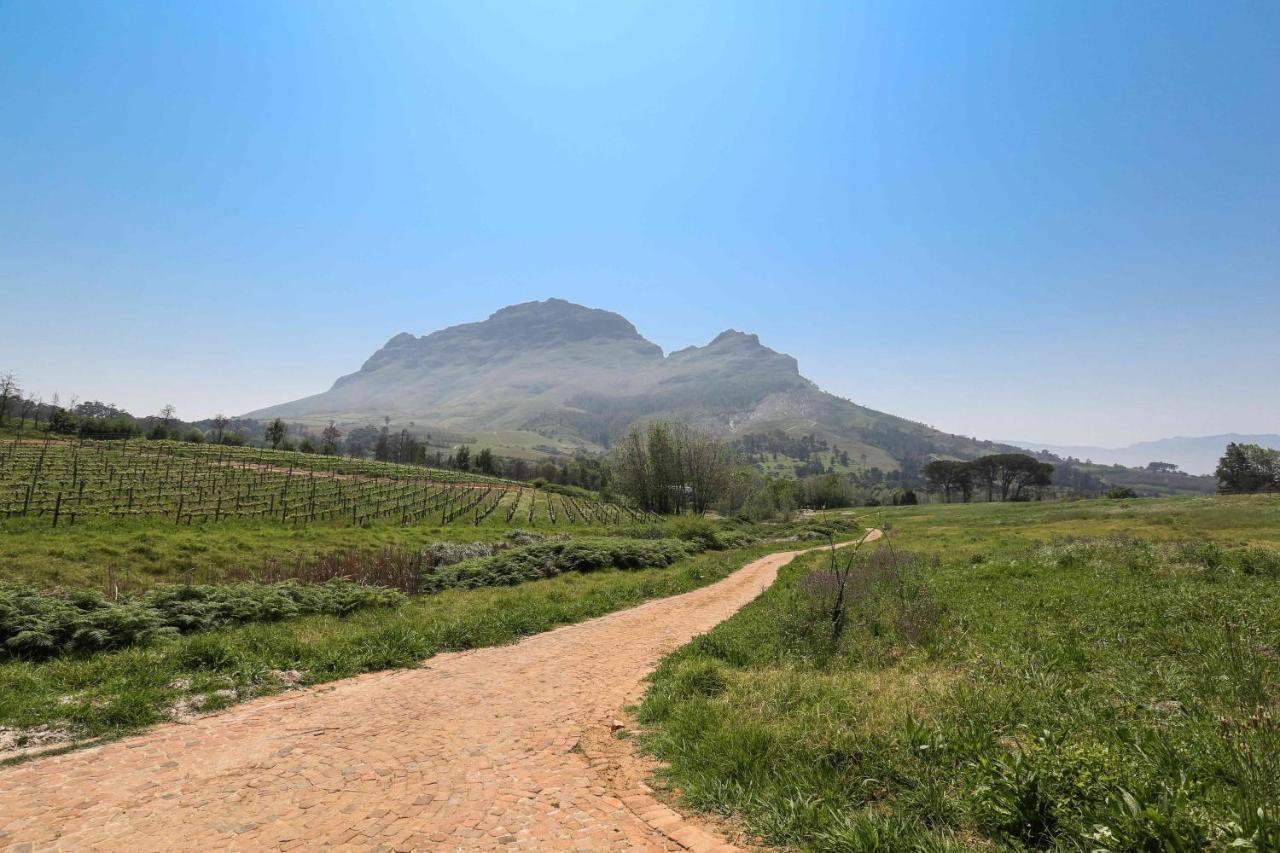 הוילה סטלנבוש Le Pommier Wine Estate מראה חיצוני תמונה